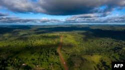 Vue aérienne de la forêt amazonienne, État du Para, Brésil, 13 mars 2019. (Mauro Pimentel/AFP)