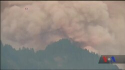 У Каліфорнії рекордна висока температура, що призвела до поширення лісових пожеж. Відео