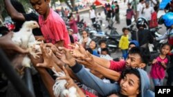 Quake survivors scuffle to get live chickens being distributed from a police truck outside a makeshift camp in Palu in Indonesia's Central Sulawesi on October 2, 2018.