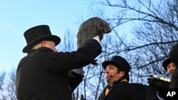 Groundhog Club handler A.J. Dereume holds Punxsutawney Phil, the weather prognosticating groundhog, during the 139th celebration of Groundhog Day on Gobbler's Knob in Punxsutawney, Pa., Feb. 2, 2025.