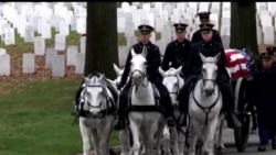 Arlington qabristonidagi xizmatchi otlar/Burial horses of Arlington