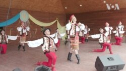 У Вашингтоні пройшов традиційний український фестиваль. Відео