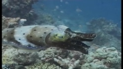 นักวิทยาศาสตร์พยายามจัดทำแผนที่ใต้ท้องทะเลโลกโดยใช้ข้อมูลจากดาวเทียม