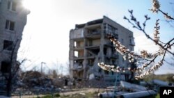 Bunga-bunga di pohon aprikot di depan gedung apartemen yang hancur di Izium, wilayah Kharkiv, Ukraina, mulai mekar, Sabtu, 6 April 2024. (AP/Alex Babenko)