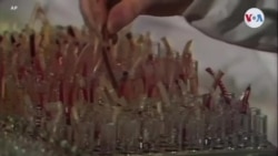 Han pasado 40 años y el SIDA sigue siendo una pandemia