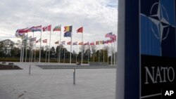 Ќе има ли предизвици за НАТО со новата американска администрација?