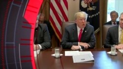 Trampning Afg'oniston strategiyasi qanday samara berdi?