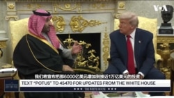 特朗普：沙特对美国的一万亿美元投资事关国家安全