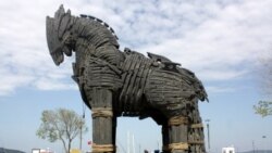 Quiz - Experimental Treatment Targets Drug-Resistant Bacteria