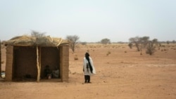 Quiz - Study: Sahara Changed from Wet to Dry Every 20,000 Years