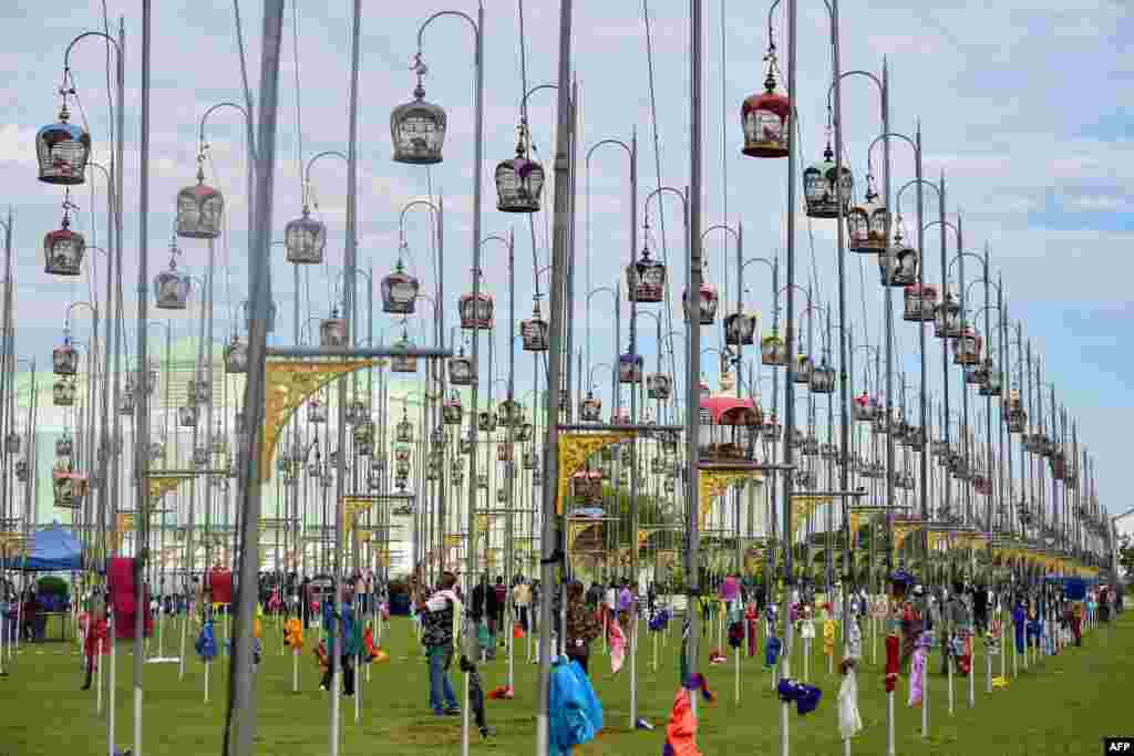 Birds sit in cages during a bird-singing competition in Thailand's southern province of Narathiwat.