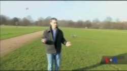 Дрон, призначений для самофотографування з повітря, незабаром вийде на ринки у США. Відео