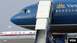 Les compagnies aériennes veulent pour aider les aéroports à lutter contre le trafic des animaux sauvages.