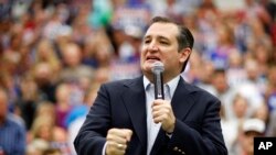 Le sénateur Ted Cruz ,R - Texas, parle durant un rassemblement samedi à Provo, Utah, 19 Mars , 2016.