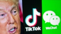 Prohibición de Tik Tok y WeChat en medio de la campaña presidencial 