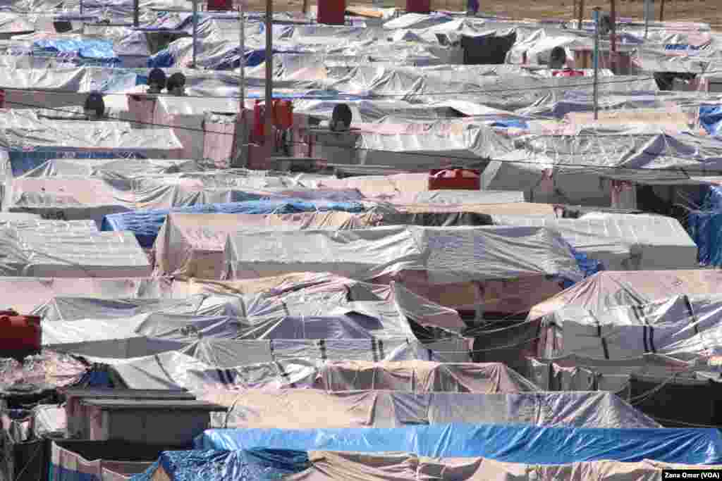 Kampa Roj li Herêma Rêvebiriya Xweser li Bakur Û Rojhilatê Sûriyê Sûriyê