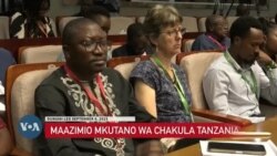 Mkutano wa mifumo ya chakula wapendekeza kuwekeza katika sekta hiyo barani Afrika