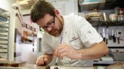 Quiz - New Discovery Suggests Chocolate-Making Substance is Older than Once Believed