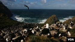 Argentina y Gran Bretaña se enfrentaron en una guerra por la soberanía del territorio en 1982.