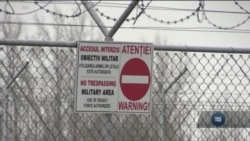 Отари овець взяли в облогу об'єкт НАТО в Румунії. Відео