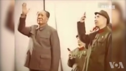 新老华裔学者洛杉矶论文革