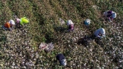 美國海關官員: 執行《防止強迫維吾爾人勞動法》是一項持續的挑戰