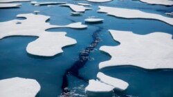 Quiz - Arctic Ocean Ice Shrinks to Second Lowest Level on Record