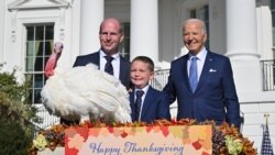 白宮感恩節傳統 拜登總統 “赦免”兩隻火雞