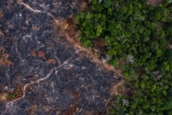 In this Nov. 23, 2019 photo, a burned area of the Amazon rainforest is seen in Prainha, Para state, Brazil.