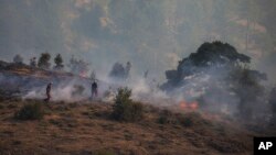 آتش‌سوزی جنگلی در ترکیه - آرشیو