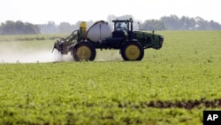 愛奧華農民在大豆地裡噴除草劑 (資料照片)
