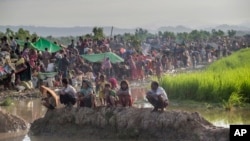 Newly arrived Rohingya Muslims who crossed over from Myanmar into Bangladesh rest in a field. After spending a night in the open, they wait for permission to proceed to refugee camps, Palong Khali, Bangladesh, Oct. 17, 2017. 
