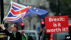 Учасник протесту проти "Брекзиту" під будівлею парламенту у Лондоні 4 вересня 2018