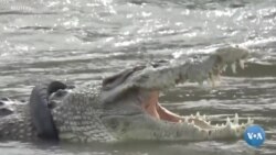 Xalqaro hayot – 8-dekabr, 2020-yil