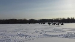 ՏՏ ոլորտի մասնագետ Ջեննի Պիկկոն և մի շարք կամավորներ հսկայական զարդանախշ են նկարել ձյան վրա. Ֆինլանդիա