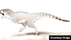 A drawing of the Chenanisaurus Barbaricus.