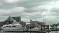 Amerikadagi o'zbeklar - Baltimore, Maryland - Uzbeks in America