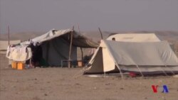 Afg'onistonlik qochqinlar taqdiri