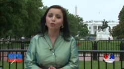 Saylov - pul / US elections, politics & money