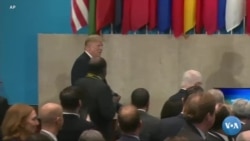 "Islomiy davlat" ustidan g'alaba?