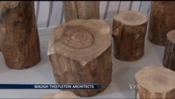 Використання деревини може сповільнити зміни клімату на планеті. Відео