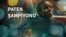 Paten şampiyonu