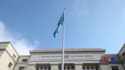 Сполучені Штати вийшли із Ради ООН з прав людини. Відео