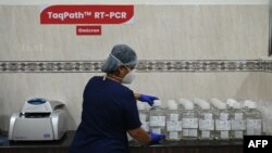 Se trata de una mutación que parece mucho más común en Asia y Europa. [Archivo]