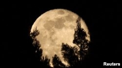 Full moon known as wolf moon over Permet