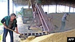 Ռուսաստանը կրկին հացահատիկ է արտահանելու