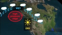 Науковці: між пожежами в Каліфорнії та таненням льодовиків в Арктиці є прямий зв’язок. Відео