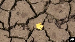 تصویر تزئینی است- آرشیو