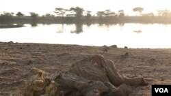 Drought, Political Maneuvering Blamed for Central Kenya's Unrest