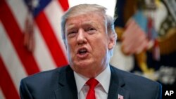 美国总统特朗普在白宫发表讲话。（2019年2月1日）